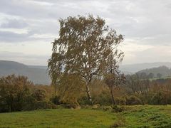 Herbstwind