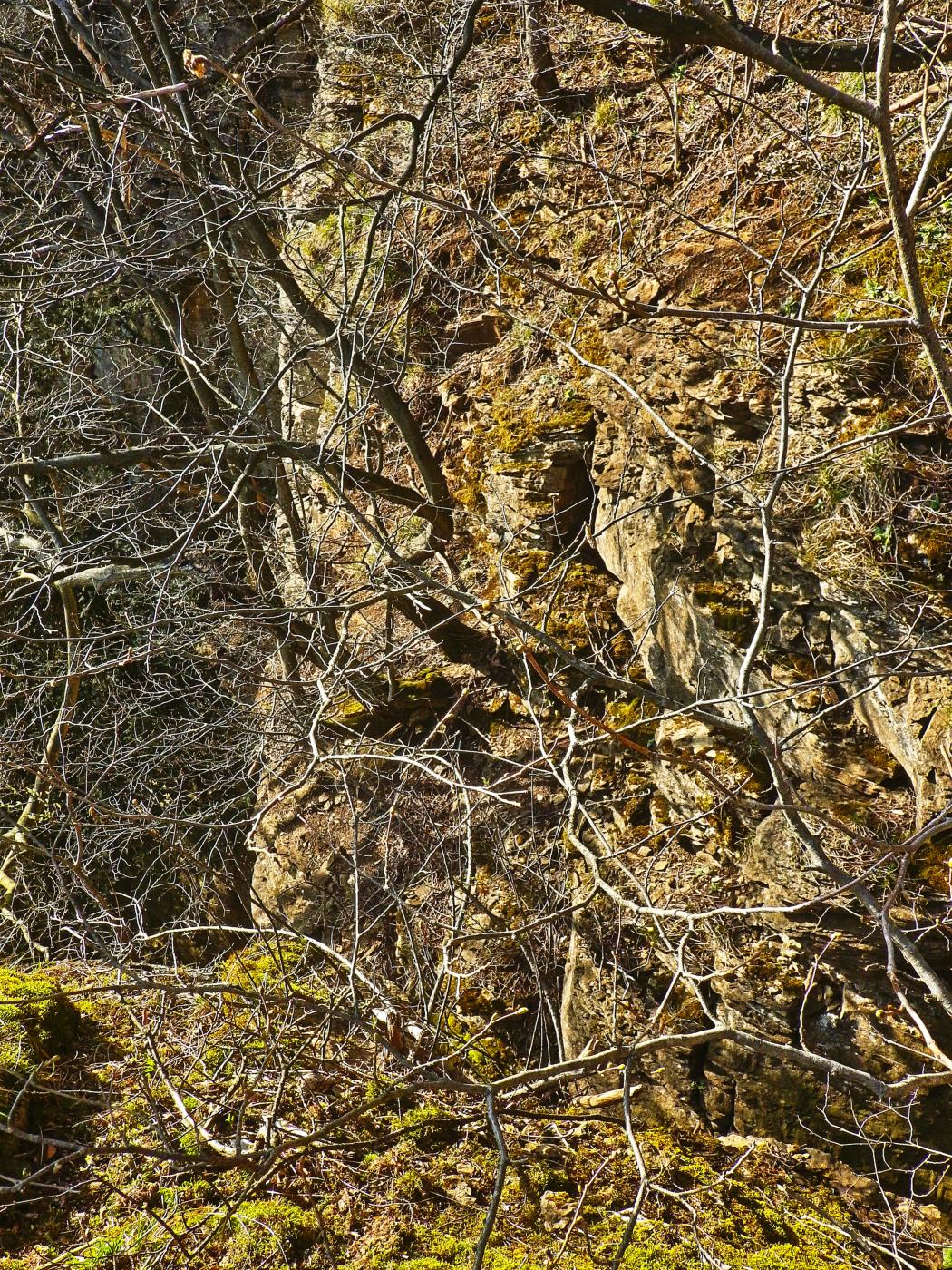 Felsen