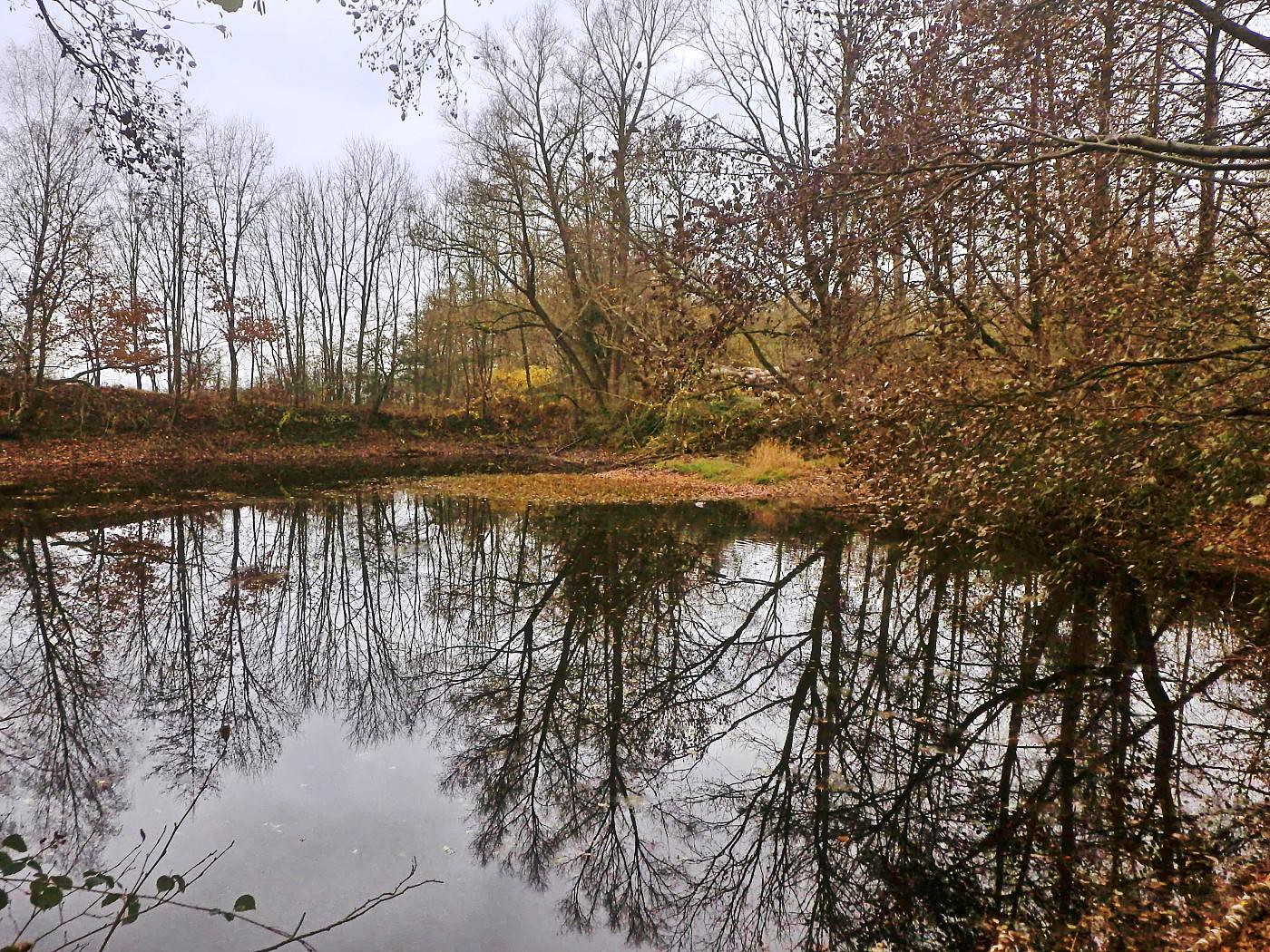 Wöbbeler Teich