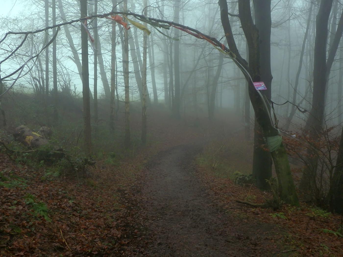 Weg zum Einhornhof