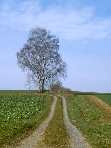 Feldweg