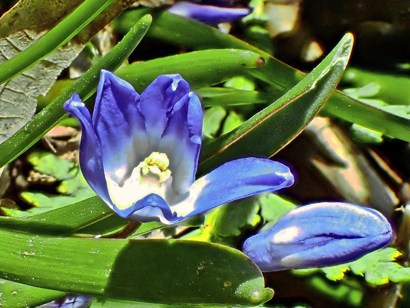 Ist der Frühling schon da?