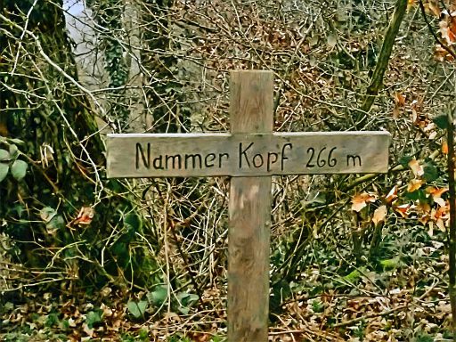 Nammer Kopf