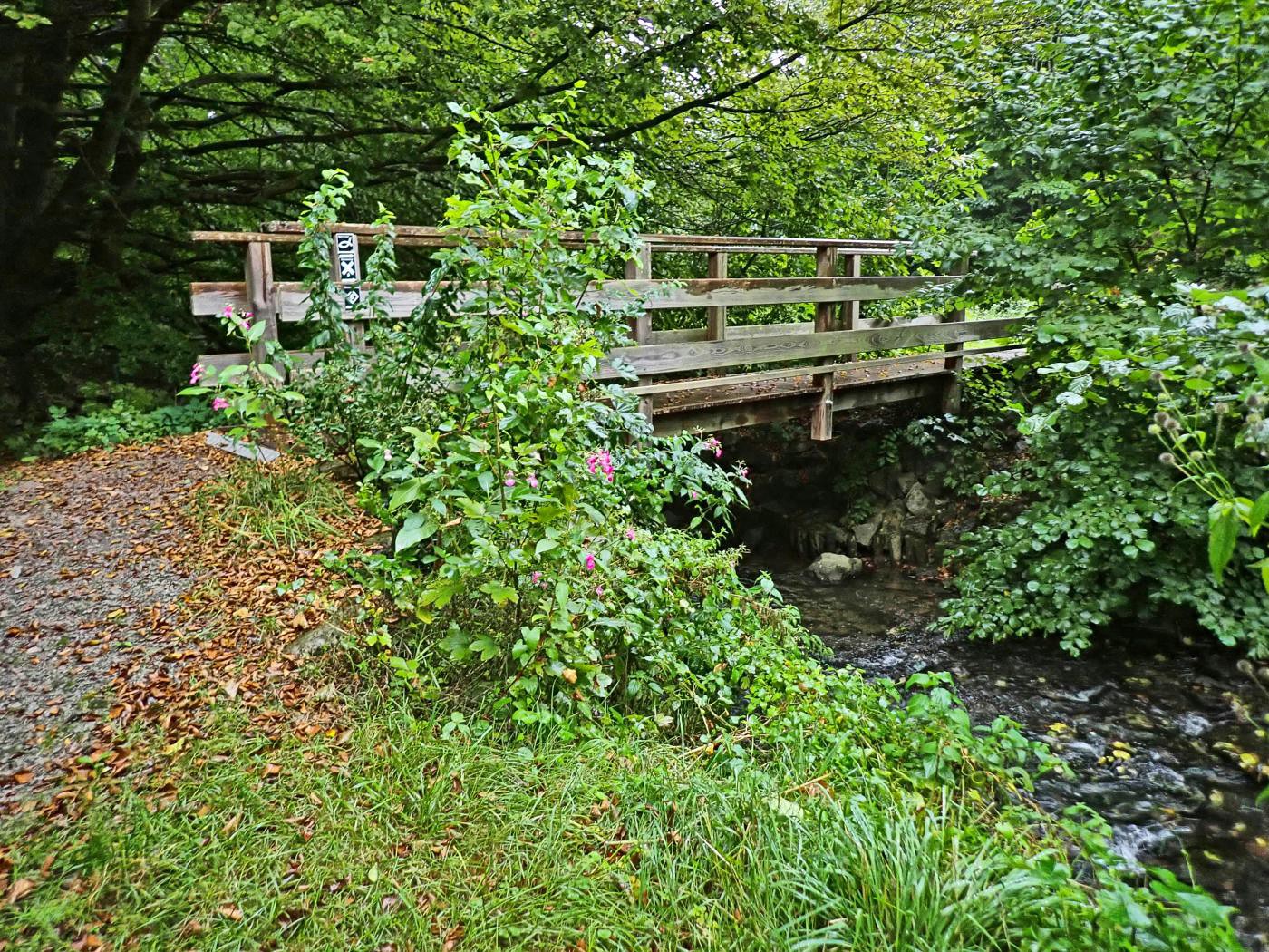 Niesebrücke an der Papiermühle