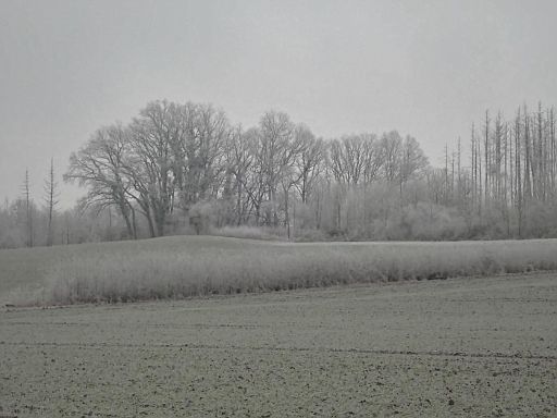 Eisnebel