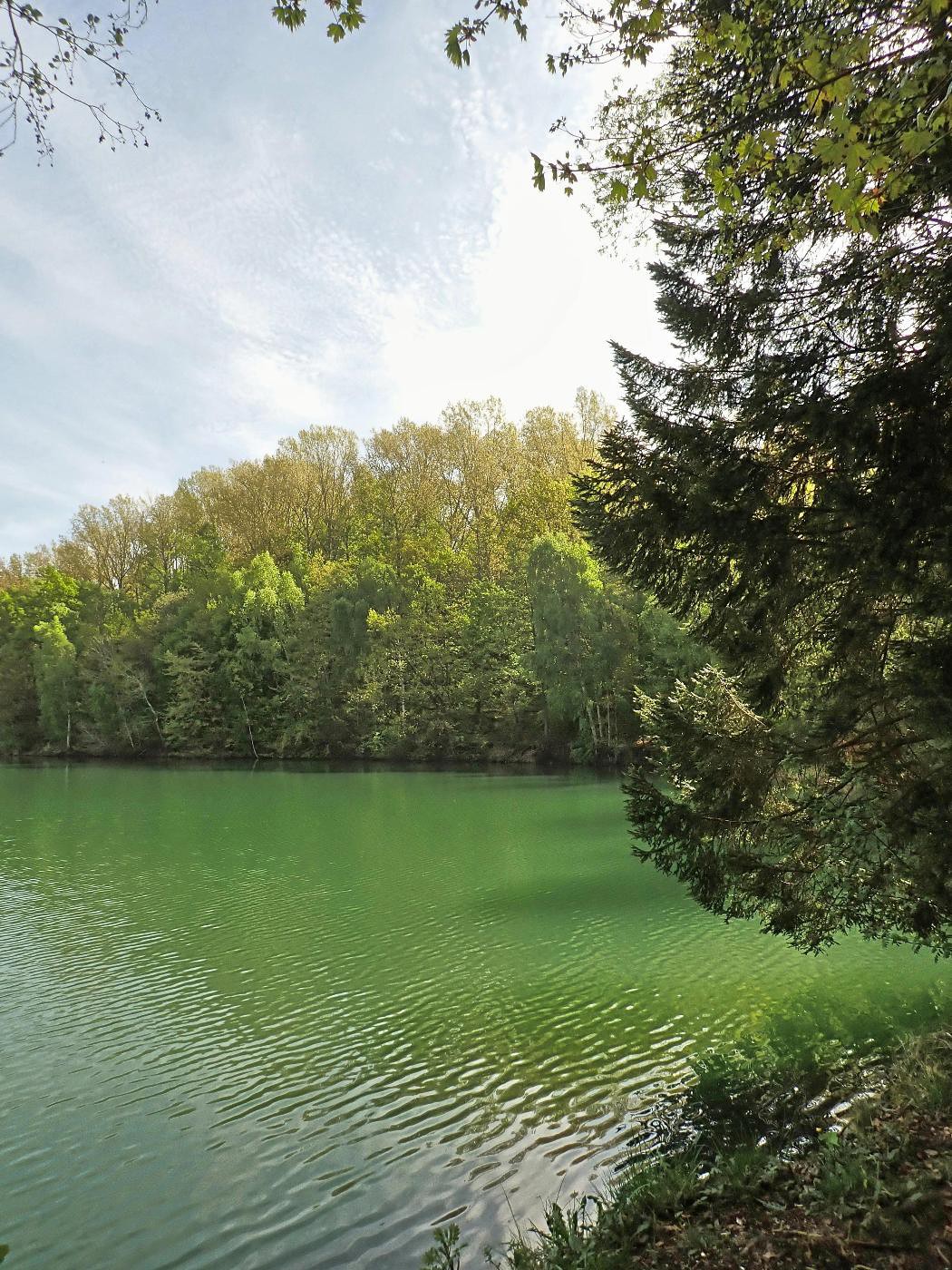 Bruchsee