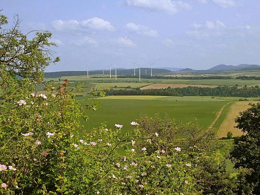 Blick vom Desenberg