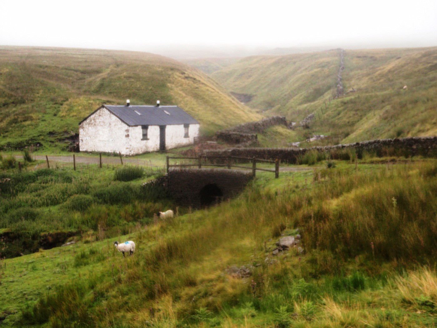 Cottage in the hills of Teesdale