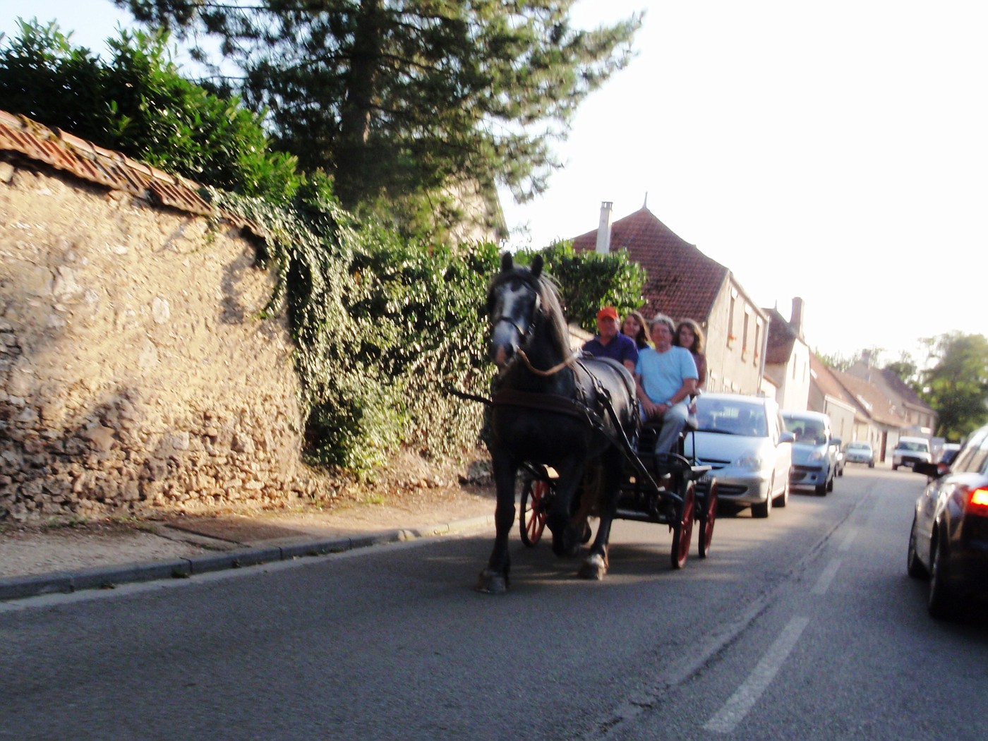 Horse power