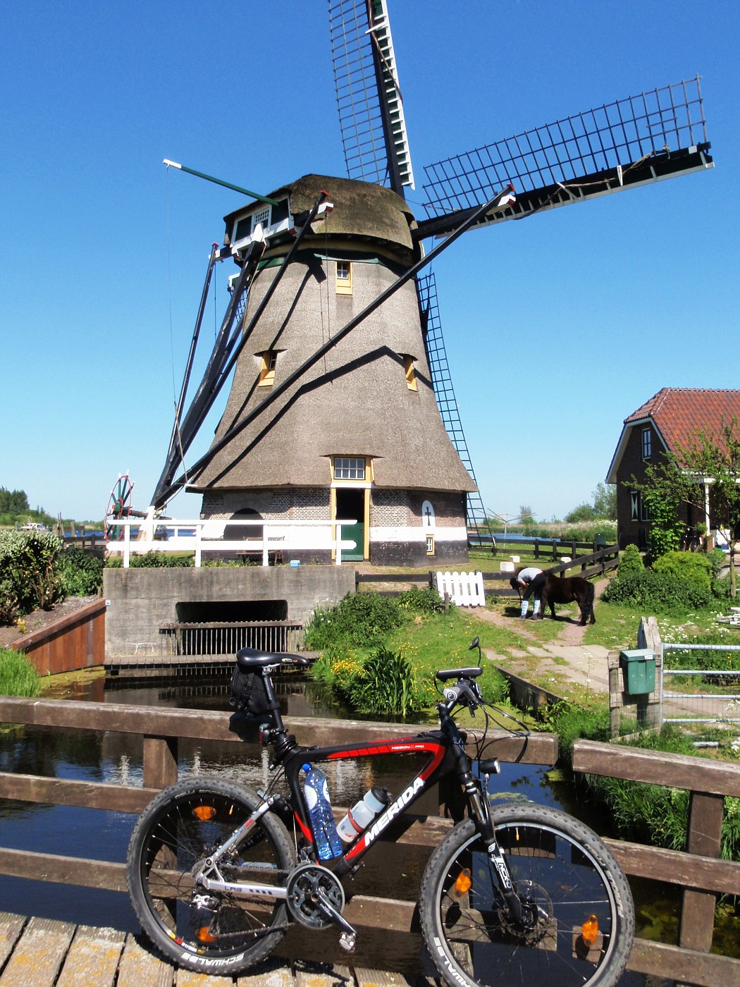 Nieuwe Hofmolen