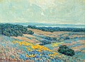 California Landscape [undated]