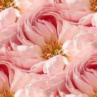 Floral28