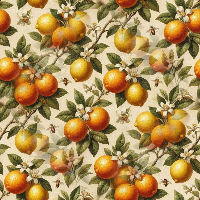Orange7