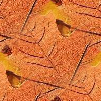 Orange9