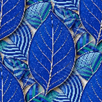 Blue 6