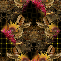 Image24Grid-vi