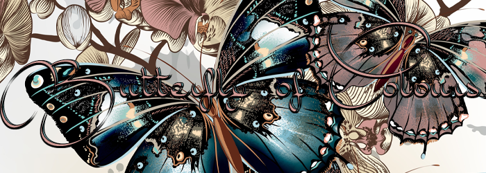 Butterfly Of Colours