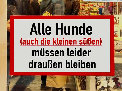 Alle Hunde 