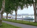 Maas