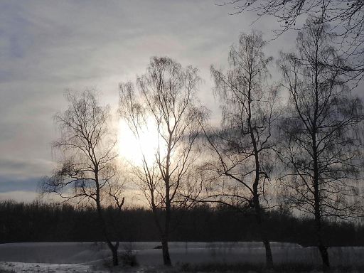 Wintersonne über dem Elkenberg