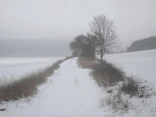 Kalter Nebel
