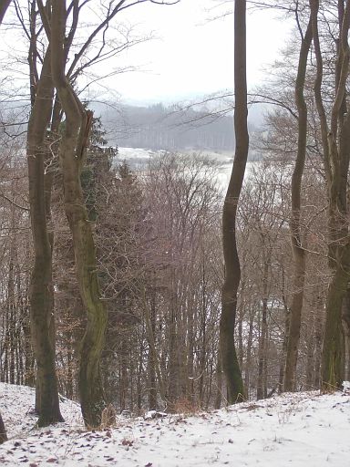 Alt Sternberg