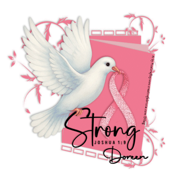 B.C.Strong album | Direne | Fotki.com, photo and video sharing made easy.